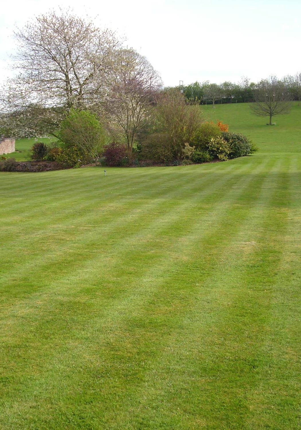 Large garden with cut grass